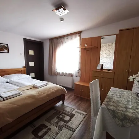 Guest house Pensiunea Evelyn