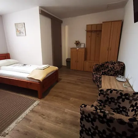 Pensiunea Evelyn Guest house