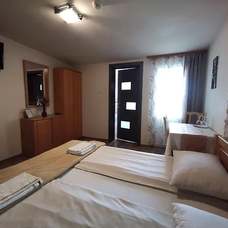 Guest house Pensiunea Evelyn Girleni