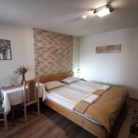 Guest house Pensiunea Evelyn