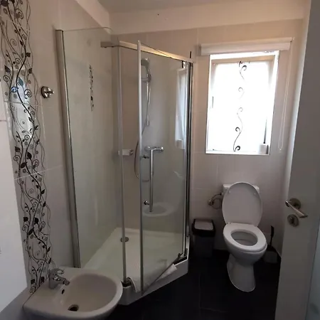 Guest house Pensiunea Evelyn